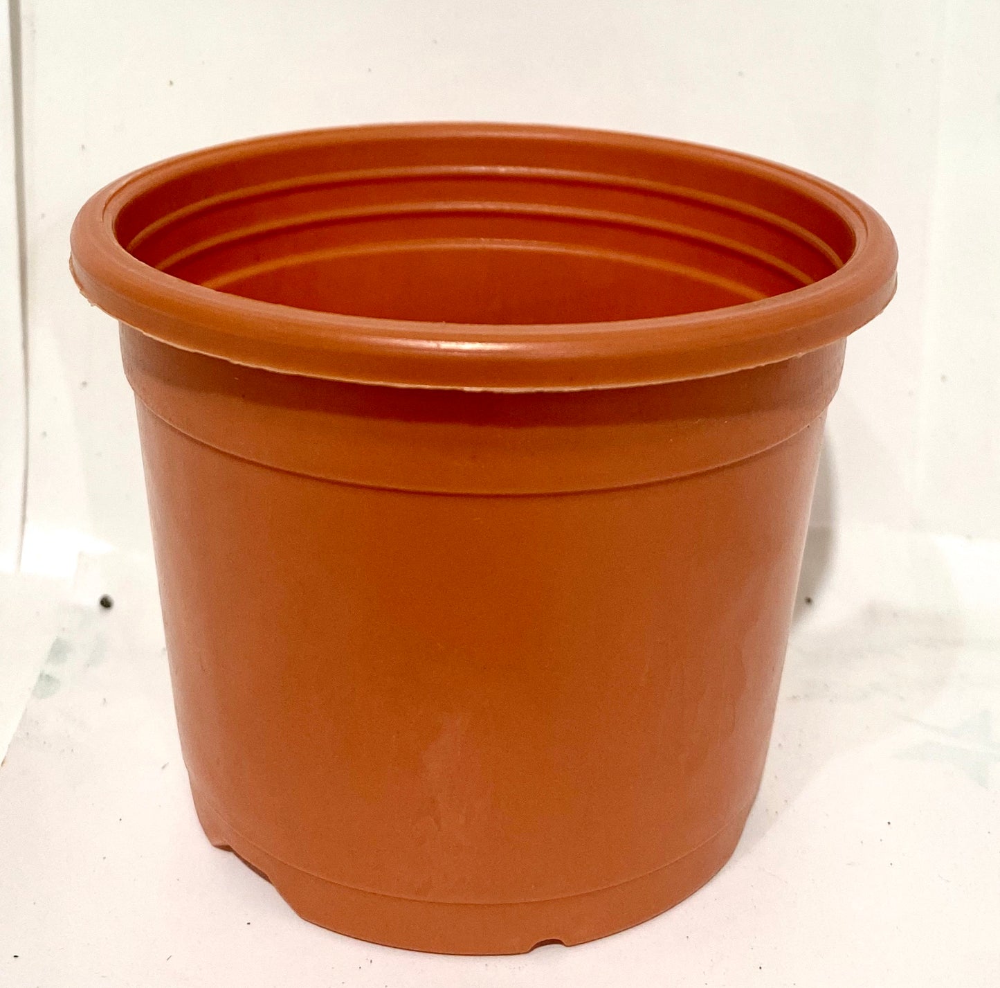 Sunrise Pot 3" (8.5 cms) - Nursery Pot