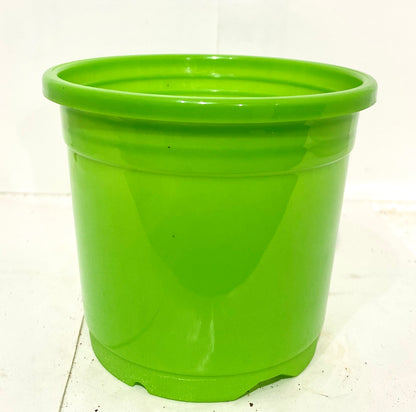 Sunrise Pot Glossy 4” (10 cms) - Nursery Pot