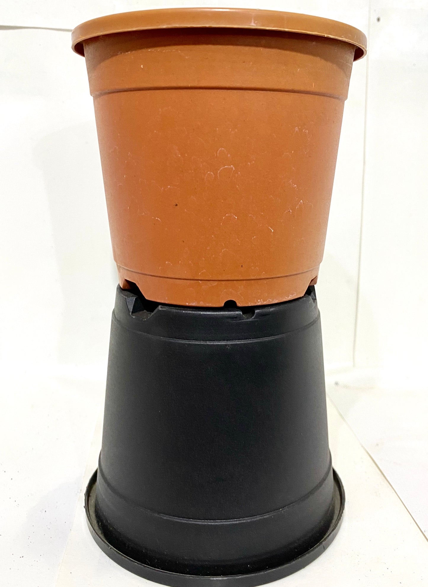 Sunrise Pot 4” (10 cms) - Nursery Pot